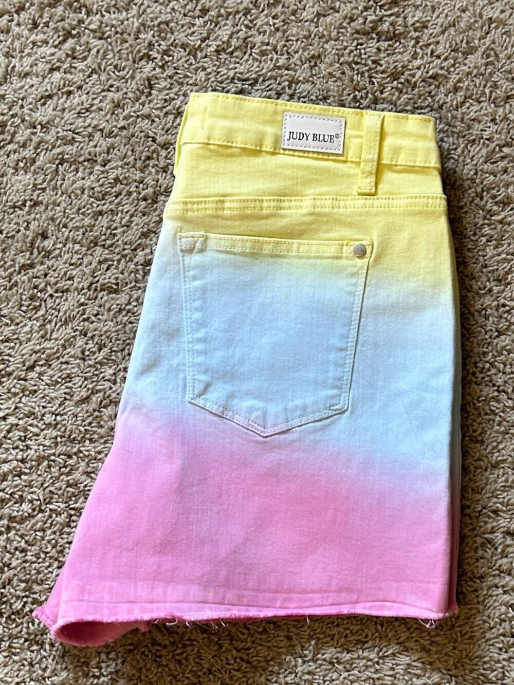 Judy Blue Multi Color Block Shorts Size L